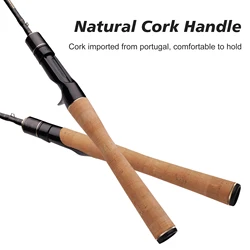 Caña de pesca SPURS Pro Light UL-L rápido Carbono Guías FUJI