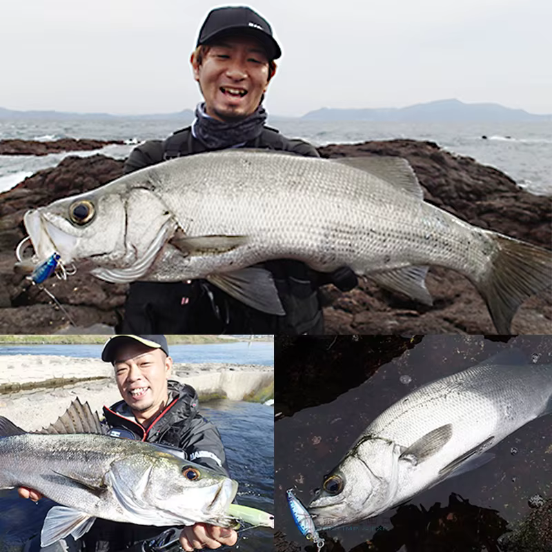 Señuelos Duros DUEL DURLER – Minnow Shiver y Luya Nep para Piscifreír - imagen 5