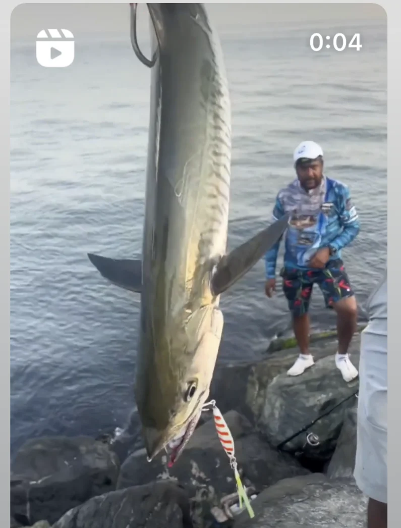 FSTK Jigs Offshore – Señuelos de jigging para pesca profesional en mar - imagen 4
