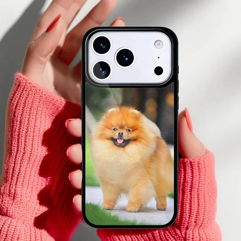 Funda Pomerania vista trasera
