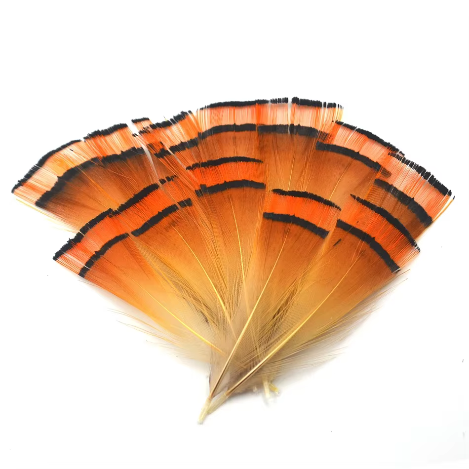 MNFT Plumas de Faisán Dorado Real para Atar Moscas – Calidad Premium - imagen 3