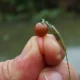 Cebo bola flotante de silicona Hirisi para carpa con cuentas - imagen 4