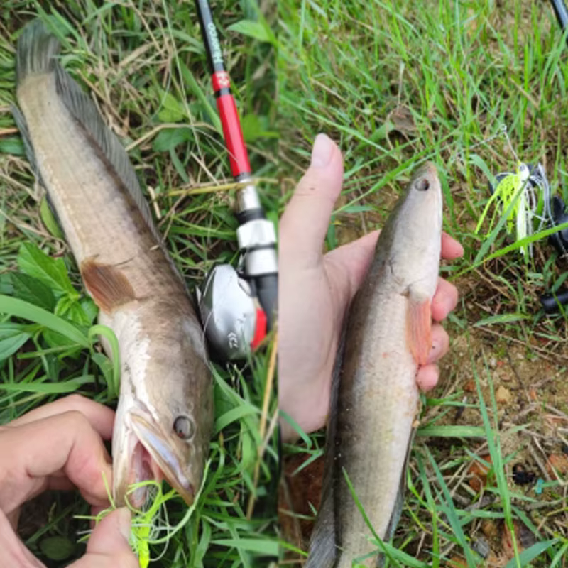 TAKEDO LD08 Chatterbait para Lucio – Señuelo de alambre y goma - imagen 2