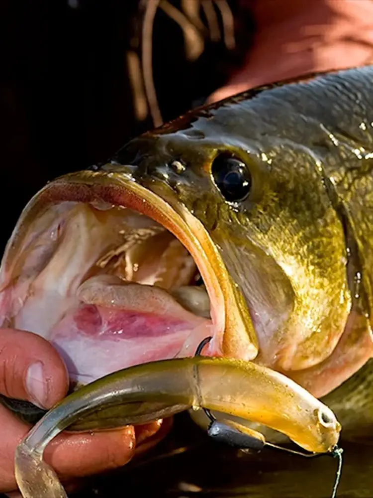 Pesas compactas para aparejos de pesca