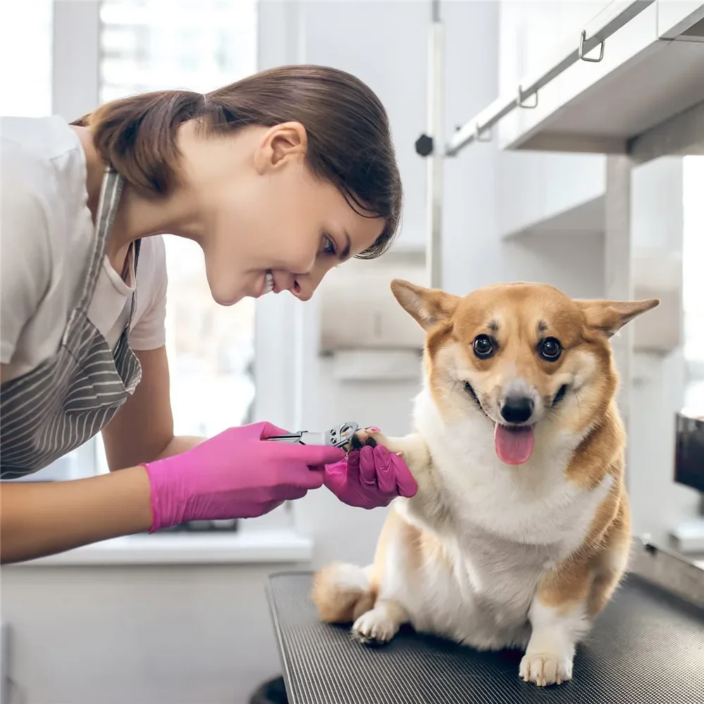 Cortauñas para perros y gatos – Acero inoxidable con guillotina - imagen 5
