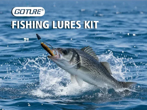 Various lures inside the box