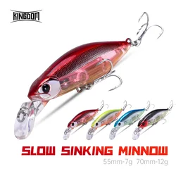 Kingdom Swimbait rallador hundimiento lento para mar