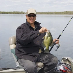 Caña spinning carbono Goture Crappie con mango EVA de espuma