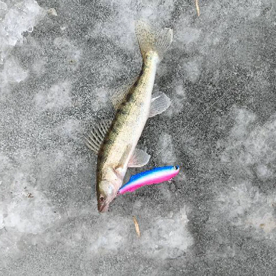 Walk Fish VIB SL: Señuelos Giratorios Rattina y Vibra para Invierno - imagen 2