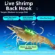 Anzuelos luminosos para camarón vivo de acero inoxidable – púas - imagen 3