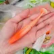 Swolfy señuelos blandos oscilantes de silicona para pesca - imagen 5