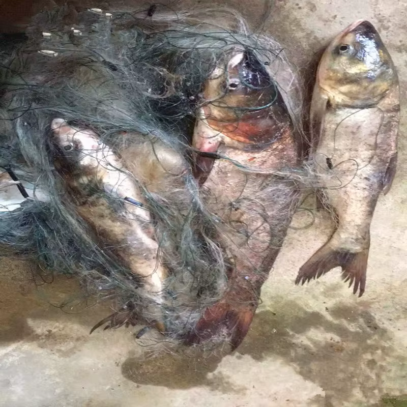 Red de pesca de tres capas reforzada para peces grandes - imagen 4