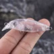 Dr.Holife Mini Minnow señuelo con sonajeros para pesca