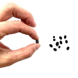Chod Rig para carpa: cuentas de tungsteno y anzuelo con púas