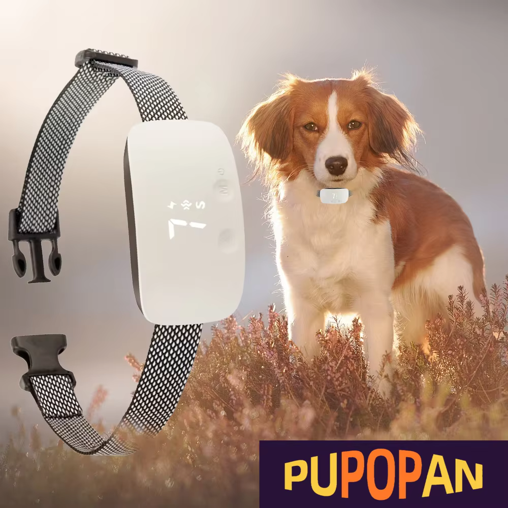 Perro - Collar inteligente anti-ladridos con 3 modos sonido/vibración/choque automático - imagen 2