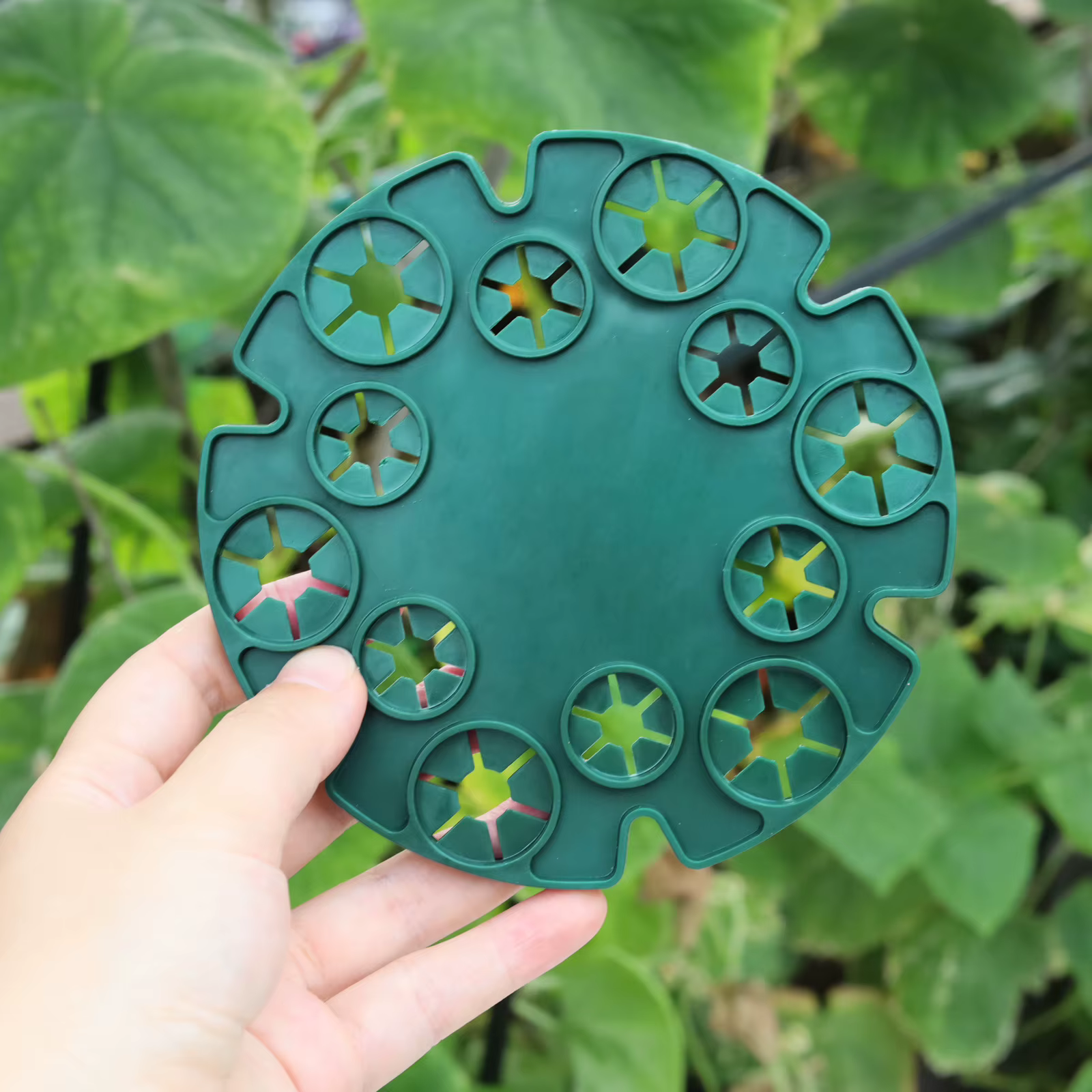Soporte Reutilizable para Plantas Trepadoras y Tallos - imagen 4