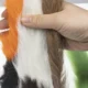 Atado de moscas Vtwins Nature Spirit: plumas para Royal Wulff - imagen 3