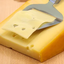 Rebanador de queso profesional en acero inoxidable