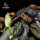 Señuelo rana flotante WEIHE Frog Lure – acción superior - imagen 4