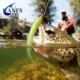 ANFS Moscas de pesca atadas a mano, anzuelo para agua dulce y salada - imagen 5