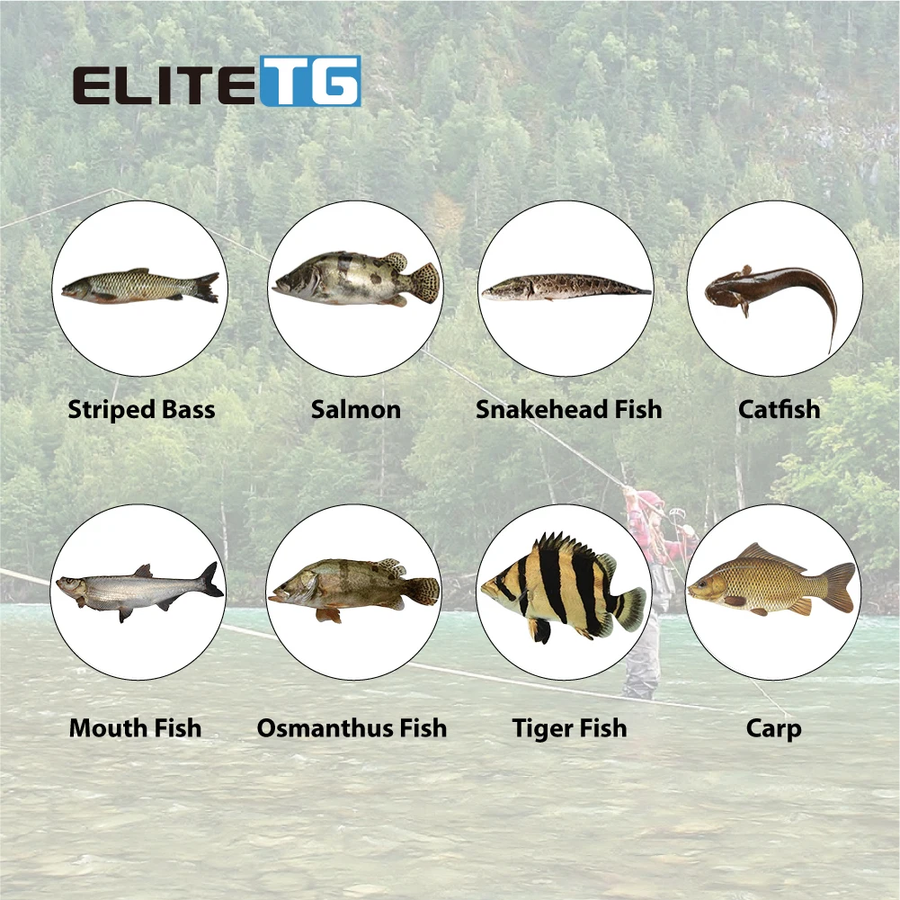 Set de 10 pesas tipo lágrima de tungsteno para pesca