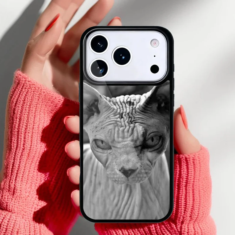 Funda para iPhone con diseño de gato Sphynx en color negro