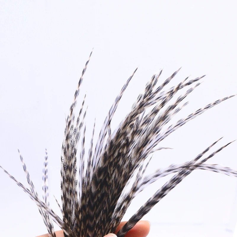 Detalle de plumas para elegir el largo adecuado