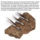 Bucktail Thunder Creek Minnow 3D: señuelo para lucio y trucha - imagen 5