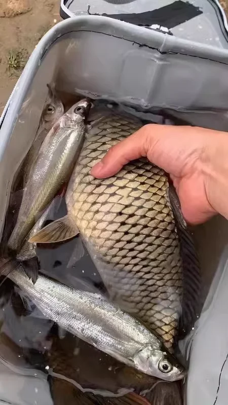 Caña de pesca telescópica de alto contenido de carbono