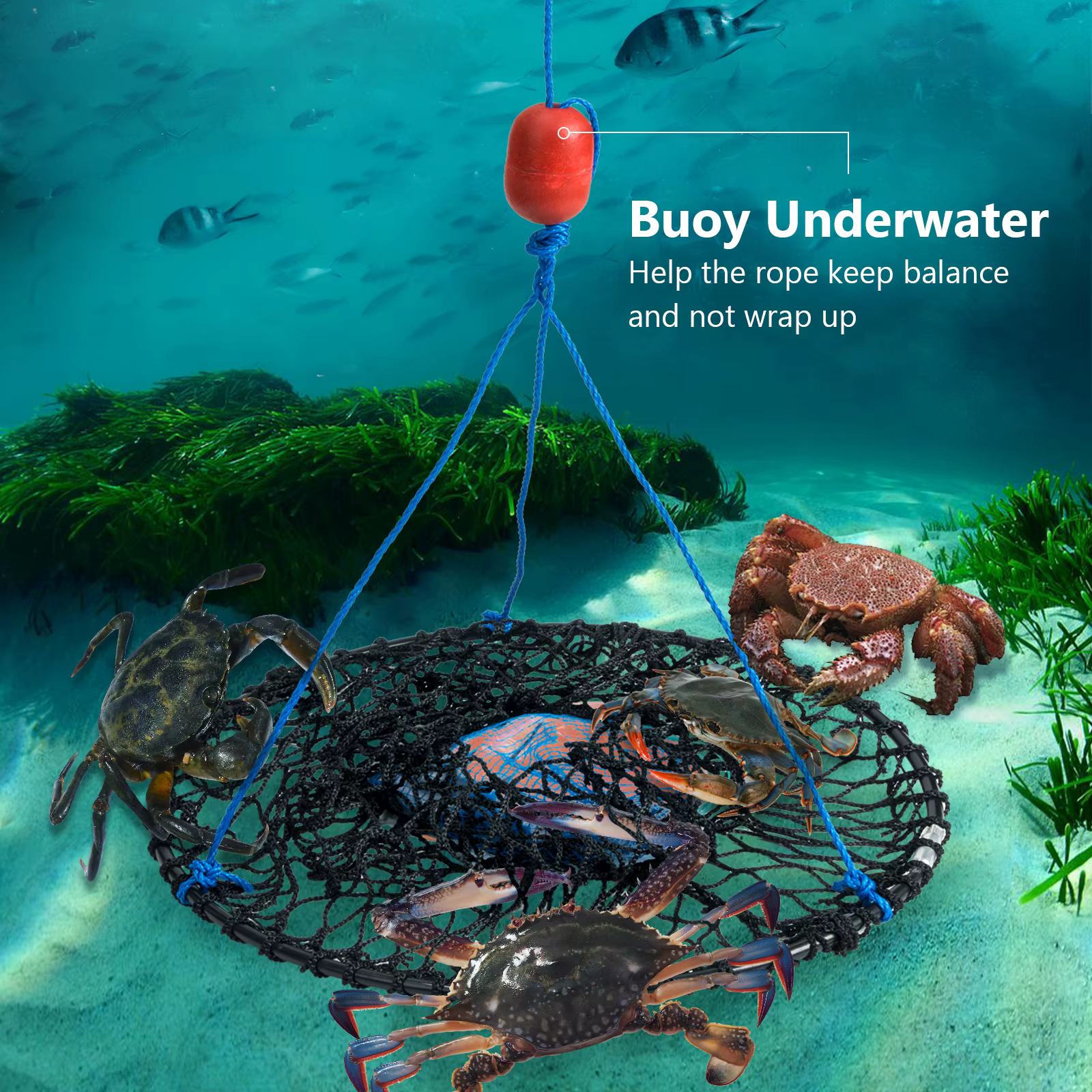 Trampas Plegables para Cangrejos y Camarones con Boya – Clip de Cebo - imagen 5