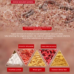 Cebo Dragon King de gusano rojo para carpa en aguas frías