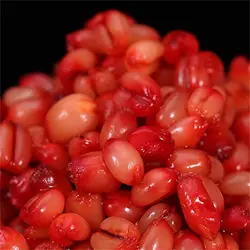 Grano de Trigo Natural para Carpa y Dorada – Cebo Partícula