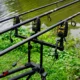 Hirisi S12 Alarmas inalámbricas para pesca de carpas con LED - imagen 2