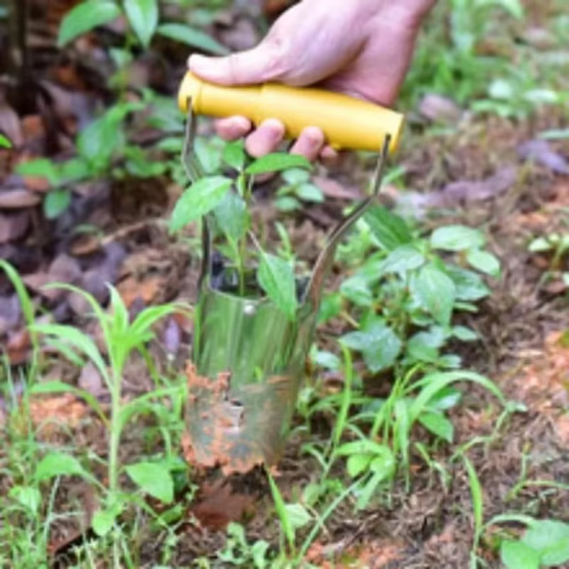 Sembradora de madera con mango para jardinería plantación y trasplante - imagen 4