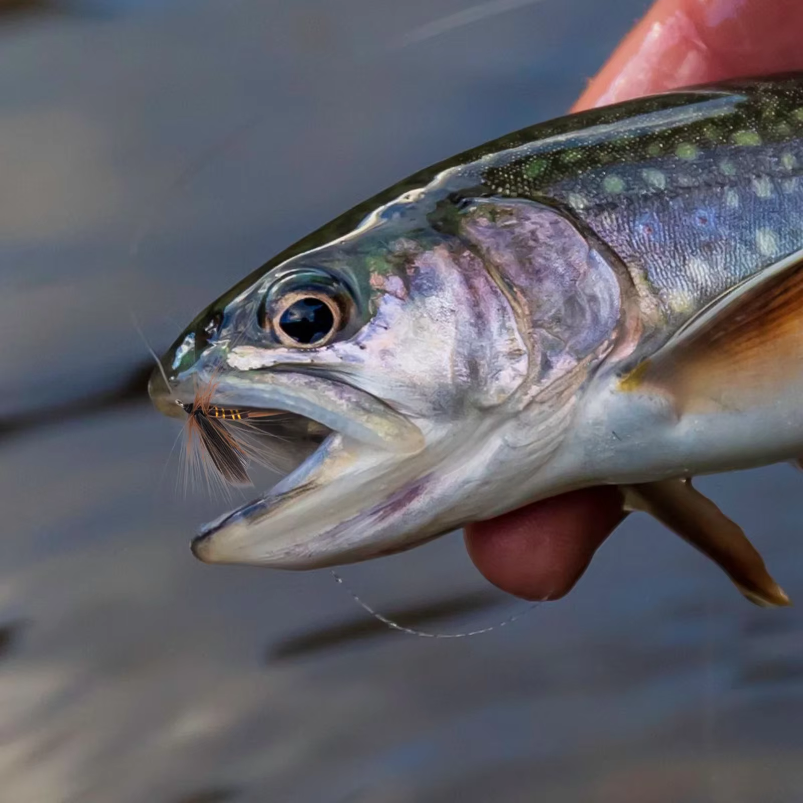 Goture Adams Dry Fly – Moscas secas imitación Mayfly y Caddisfly - imagen 3