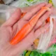 Swolfy señuelos blandos oscilantes de silicona para pesca - imagen 2