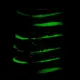 Señuelos luminosos para calamar Jig de agua salada nocturna - imagen 5