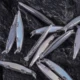 Dr.Holife Señuelos Minnow flotantes sin pintar con lámina interior - imagen 5