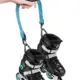 Correas portátiles universales para patines en línea con hebilla