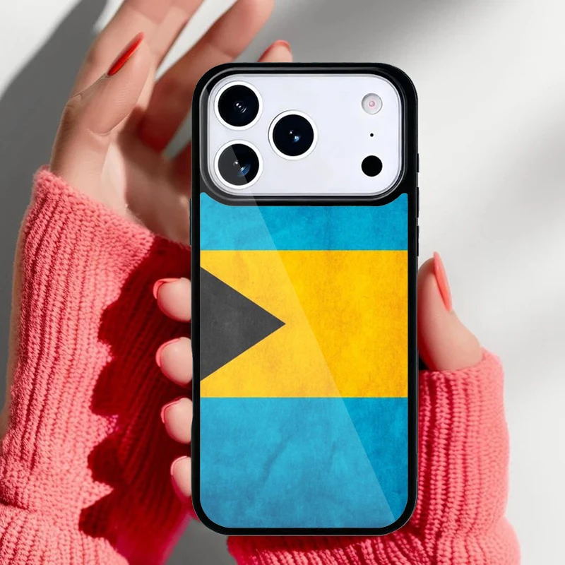 Detalle de compatibilidad con modelos iPhone
