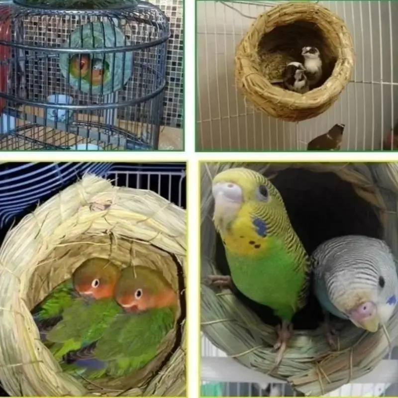 Nido colgante de hierba para loros y aves casita para dormir - imagen 2