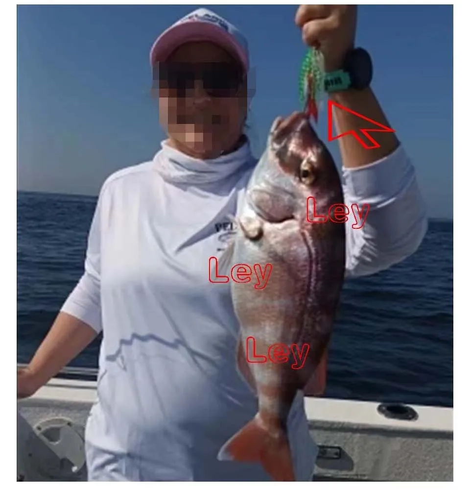 Falda de goma resplandeciente para jigging