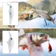Free Fisher kit de señuelos para montar crankbaits duros DIY