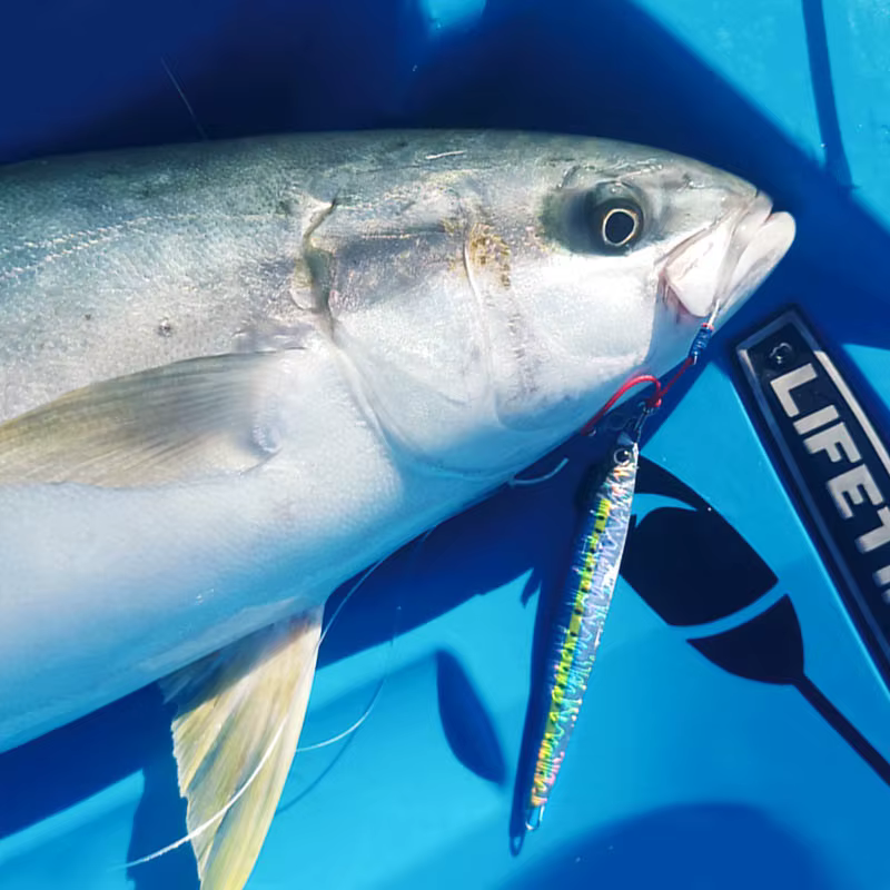 Plantilla de metal para lubina – Jigging marino - imagen 2