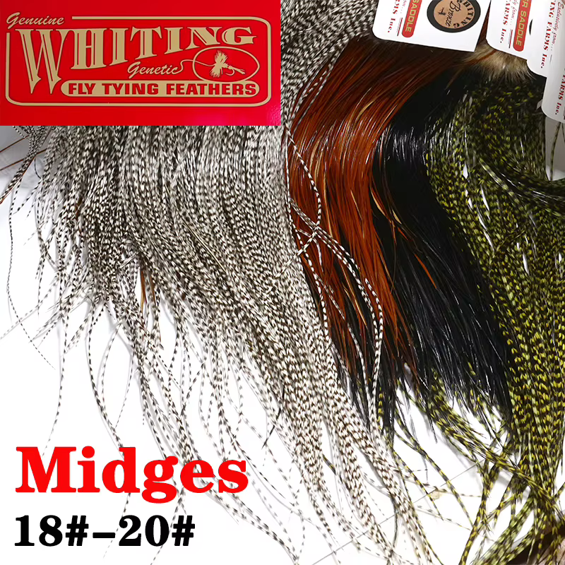 Merlán Plumas Grizzly para moscas secas – Natural y teñidas - imagen 3