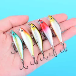 Señuelo Minnow hundible magnético de largo alcance para carpa