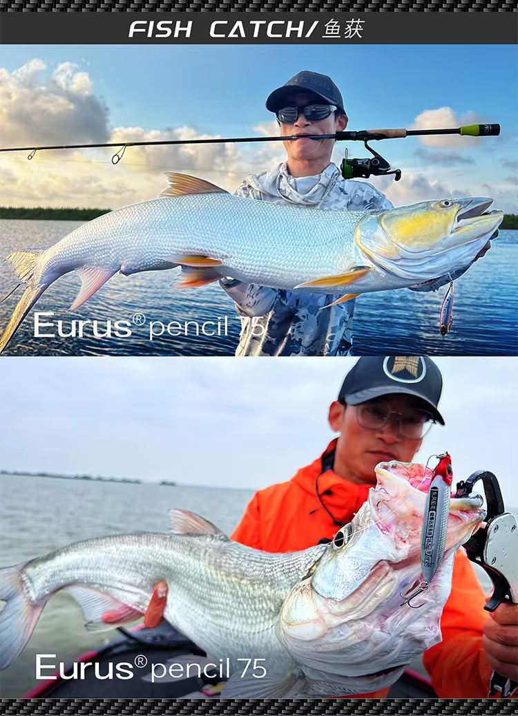 Lápiz de pesca magnético E75/85 visto desde arriba mostrando su diseño alargado
