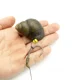 Anzuelos para carpa con alineadores de montaje para grandes capturas - imagen 5