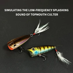 Señuelo Popper de superficie WALK FISH para lubina y lucio