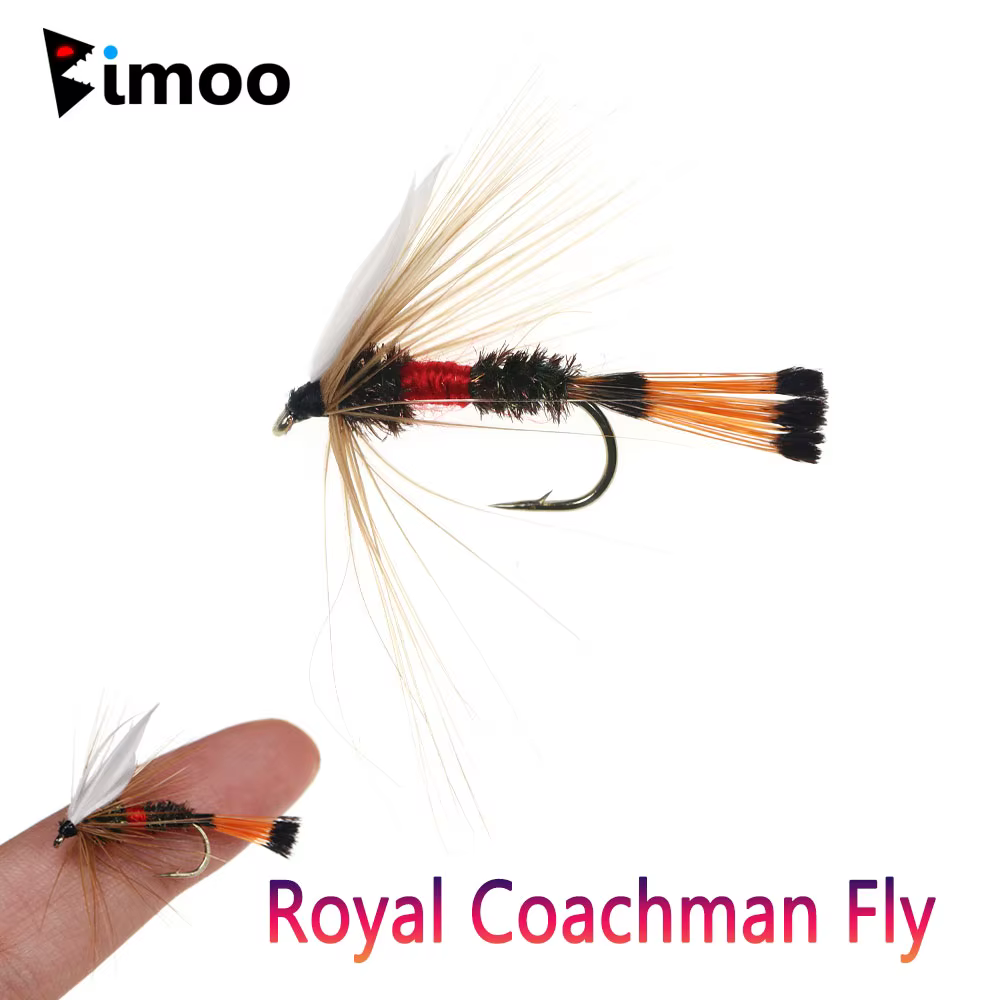 Bimoo Mosca Seca Royal Coachman – Pavo Real para Trucha